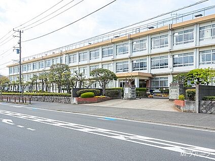 平塚市立浜岳中学校 800m(10分)