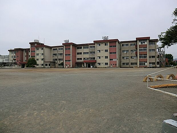 八王子市立清水小学校(約450m・徒歩6分)