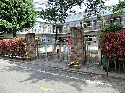多摩なかよし幼稚園 1500m(19分)