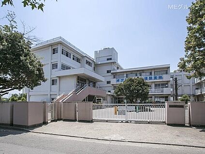 府中市立府中第八中学校 1800m(23分)