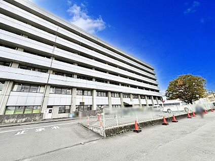 小田原市立病院 3500m(44分)