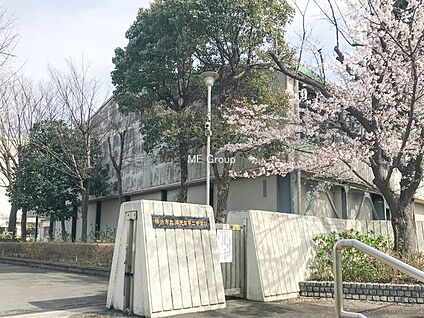 横浜市立洋光台第二中学校 800m(10分)