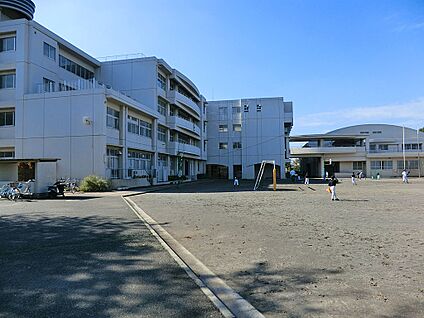 横浜市立下田小学校 560m(7分)