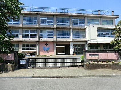 平塚市立城島小学校 210m(3分)