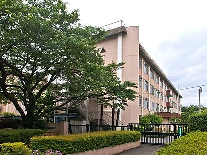 八王子市立東浅川小学校 400m(5分)