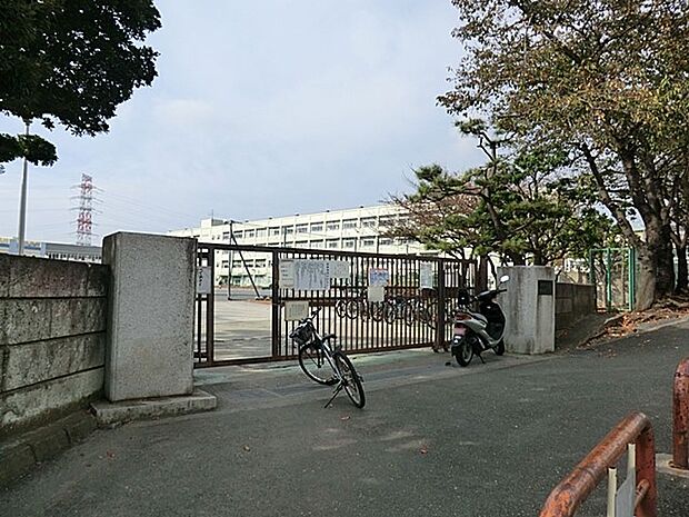 横浜市立東希望が丘小学校(約800m・徒歩10分)