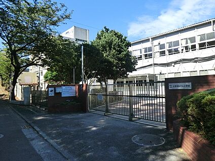 横浜市立上菅田笹の丘小学校 1300m(17分)
