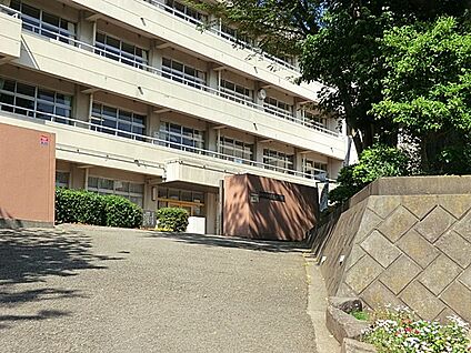 海老名市立大谷中学校 2240m(28分)