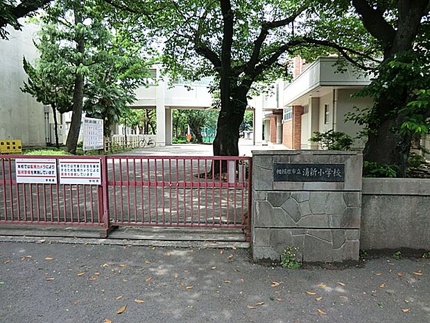 相模原市立清新小学校(約564m・徒歩8分)