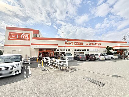 ザ・ビッグ 小田原寿町店 1200m(15分)