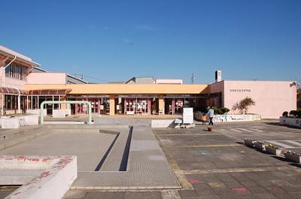 石浜保育園(約300m)