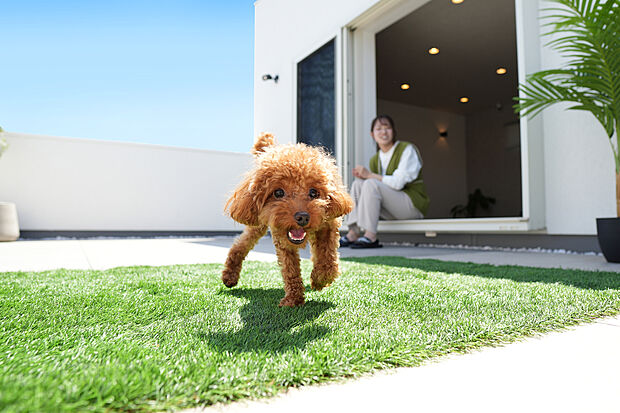 【建物プラン例（SL）】総額（土地＋建物＋外構）4380万円