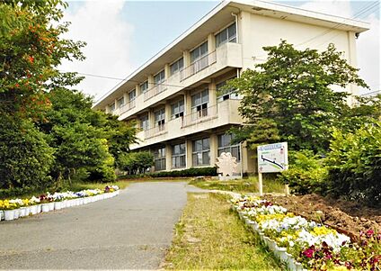 片葩小学校 1000ｍ(徒歩13分)