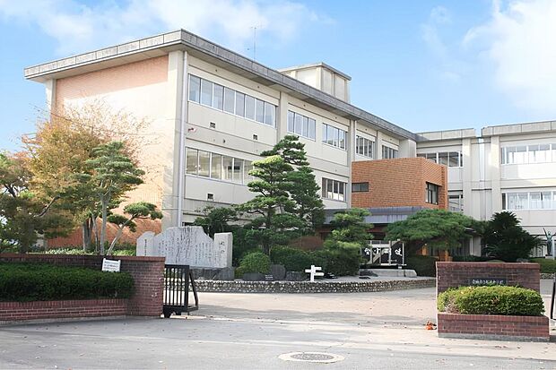 桜井中学校(約900m)