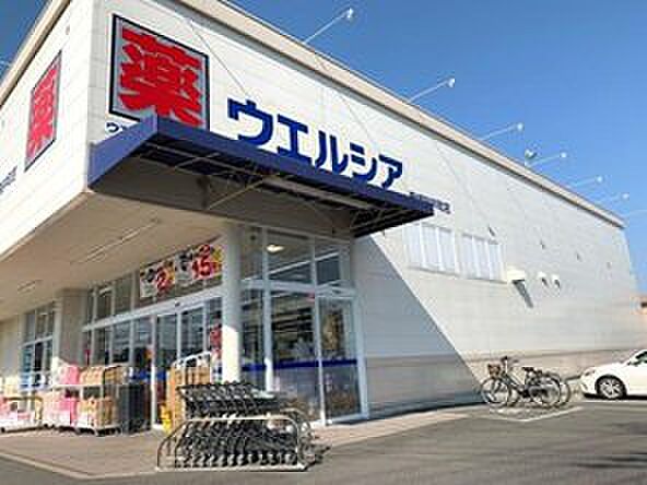 ウエルシア安城桜井町店(約300m)