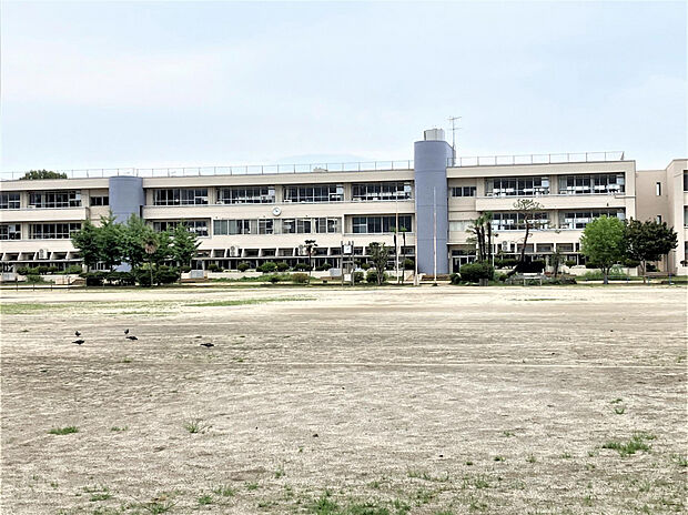 綿打小学校（約1,520m）