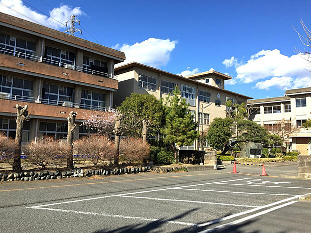 新高尾小学校（約380m）