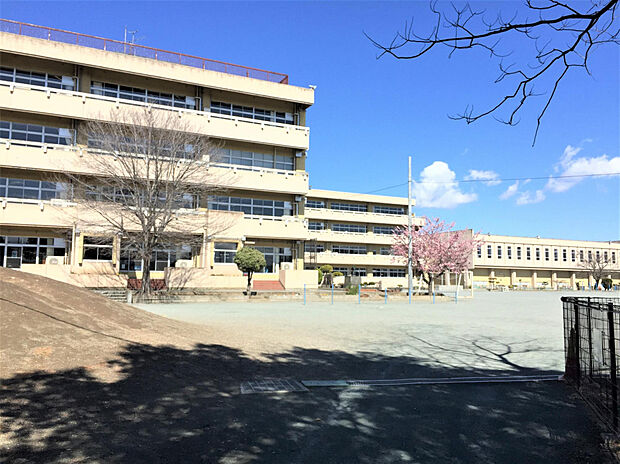 尾島小学校（約890m）