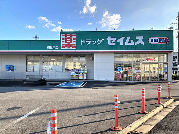 ドラッグセイムス桐生東店(約690m)