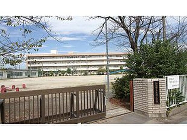 大桑小学校（約500m）