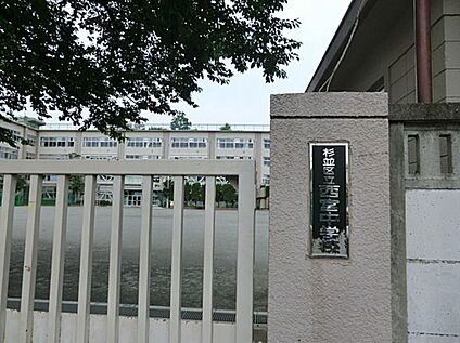 杉並区立西宮中学校 268ｍ(徒歩4分)