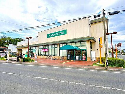 ピーコックストア国立弁天通り店 260m