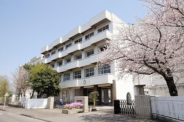 【現地外観・周辺】
沼津市立開北小学校まで徒歩2分。生活環境が整った高沢町は、落ち着いた街並みと利便性が共存する住みやすいエリアです。
平坦地のため移動がしやすく、日々の暮らしが快適です。