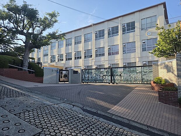御幸山中学校(約3m)