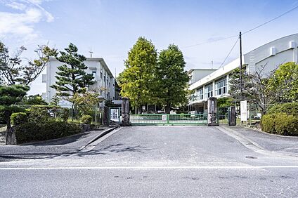 市立 竜美丘小学校 810ｍ(徒歩11分)