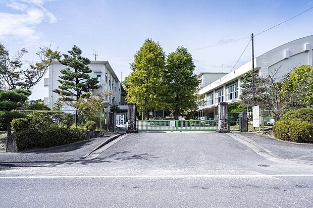 市立 竜美丘小学校（約810m）