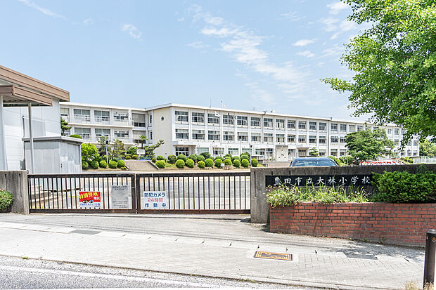 大林小学校（約2m）