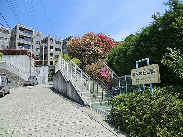 柿生の丘公園（約600m）