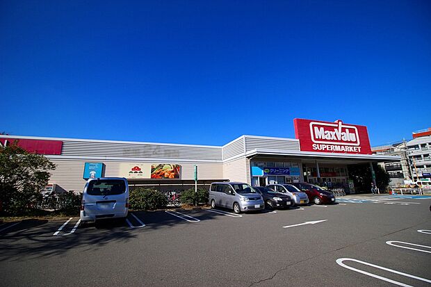 マックスバリュー津田山店(約750m・徒歩10分)