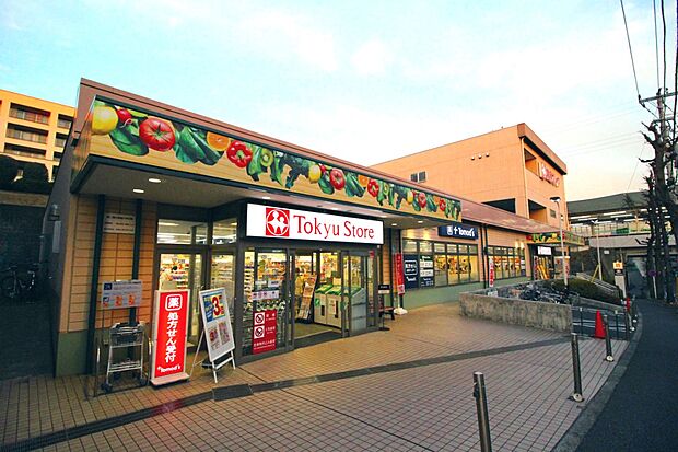 東急ストア江田店(約1,000m)