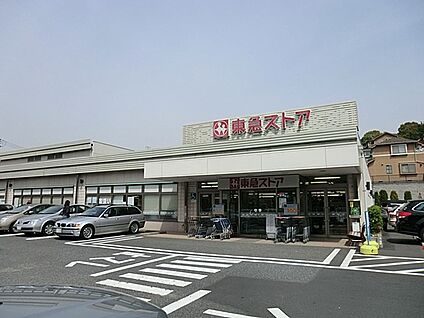 東急ストアたちばな台店 750m