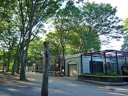 夢見ヶ崎公園 500m