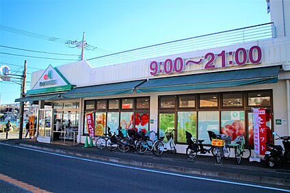 マルエツ平二丁目店 850m(11分)