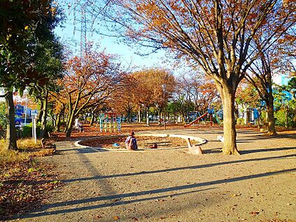 井田公園 400m(5分)