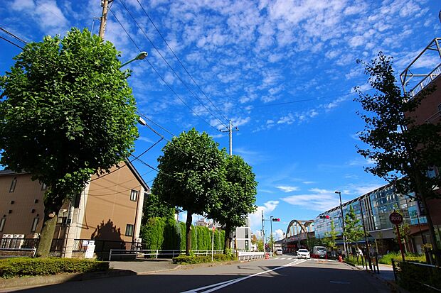 矢野口駅（約1,200m・徒歩15分）