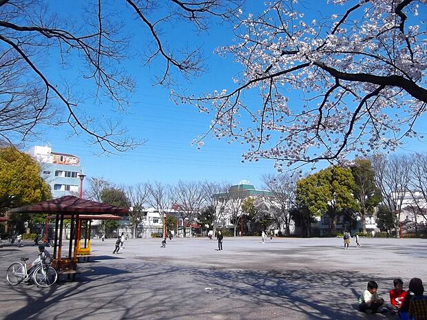 橘公園（約550m・徒歩7分）
