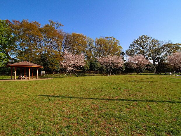 春日台公園（約1,300m・徒歩17分）