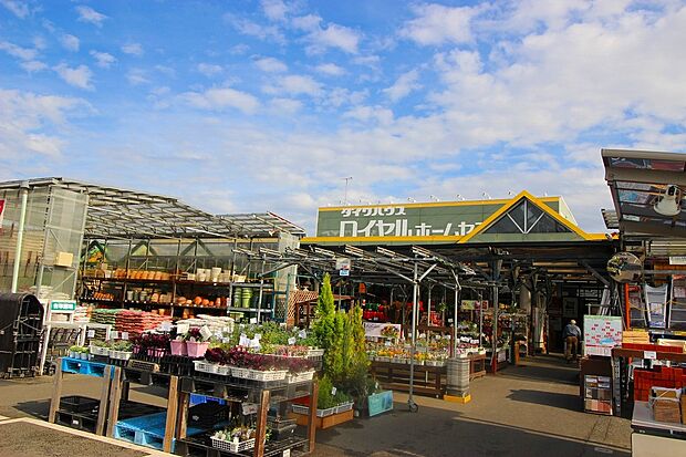 ロイヤルホームセンター梶ヶ谷店(約800m・徒歩10分)