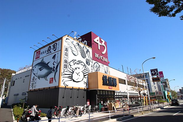 ビッグヨーサン横浜都筑店(約1,000m・徒歩13分)