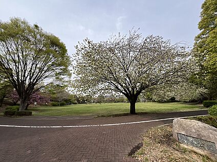滝ヶ谷公園 1600m