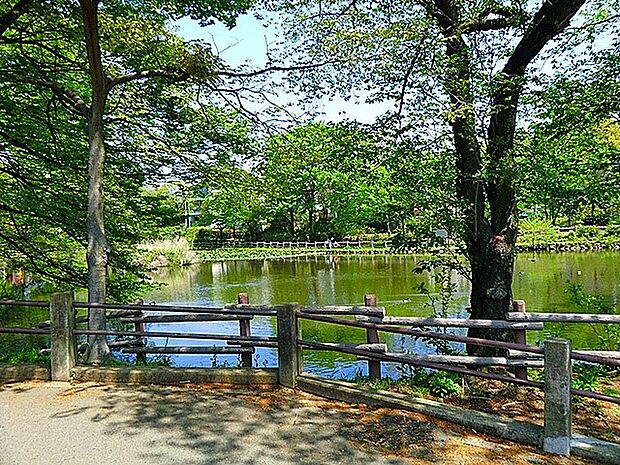 菊名池公園(約1,100m・徒歩14分)