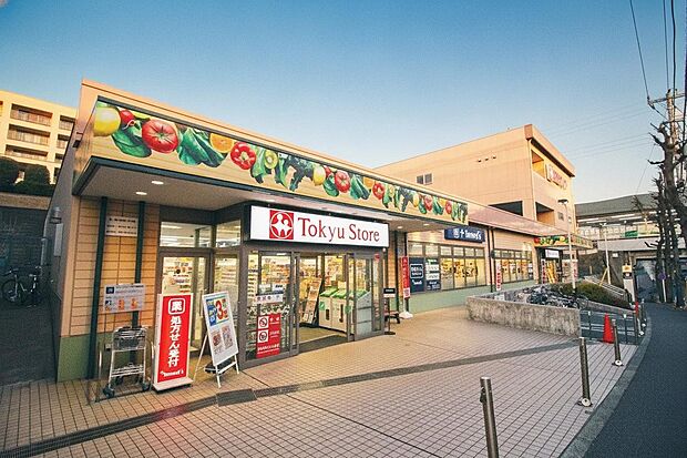 東急ストア 江田店(約800m)