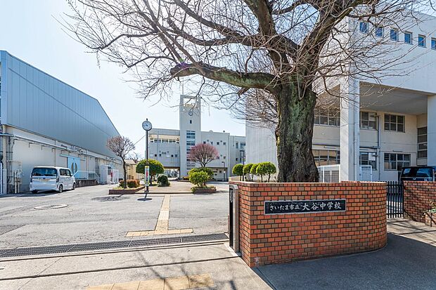 大谷中学校（約970m）