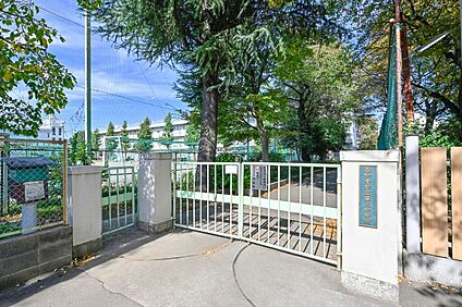 第三中学校 800m