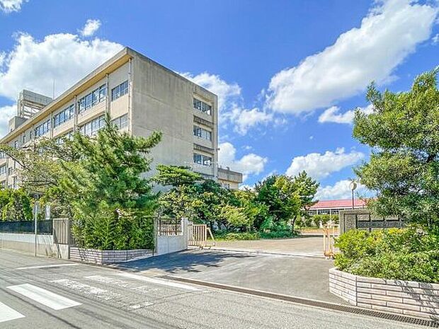 草加市立青柳中学校（約600m）