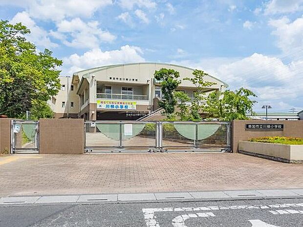 草加市立川柳小学校(約500m)